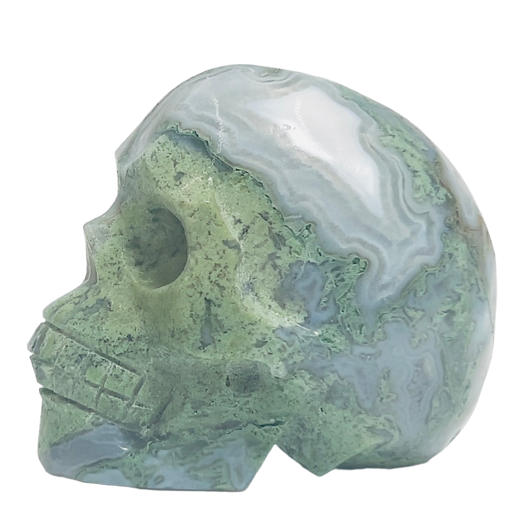 Moss Agate Skull Healing Crystal Carving 428g