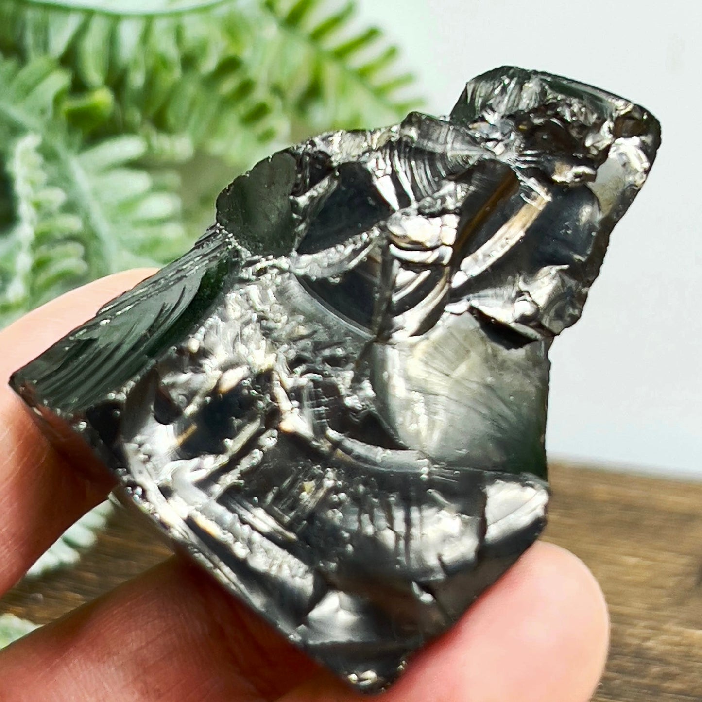 Elite Noble Shungite Raw Chunks Healing Crystal Specimen EMF Protection 
48g