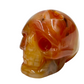 Carnelian Skull 2 With Druzy Inches Rare Hand Carved Crystal Carving