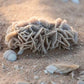 Desert Rose Calcite Specimens Natural Crystal