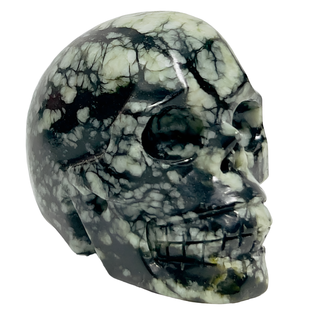 Jade Skull Healing Crystal Carving 462g