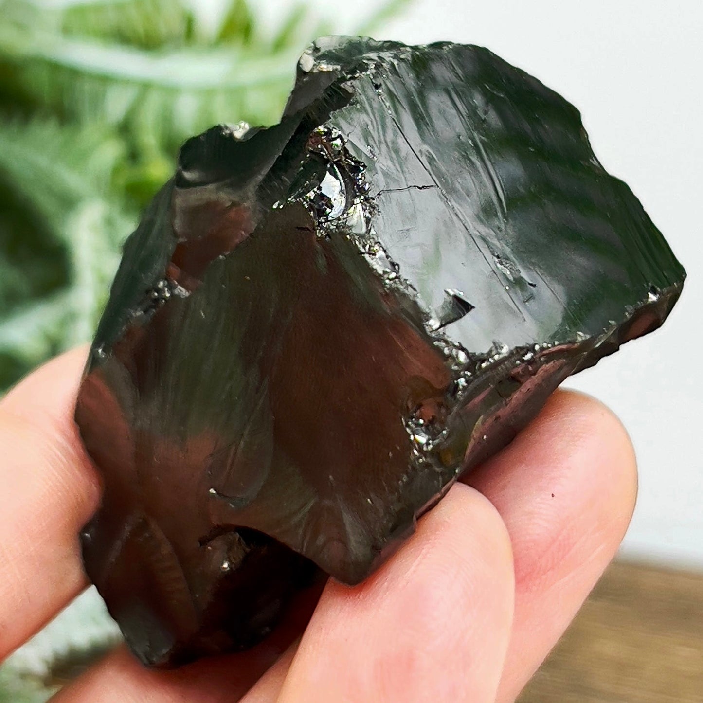 Elite Noble Shungite Raw Chunks Healing Crystal Specimen EMF Protection 
48g