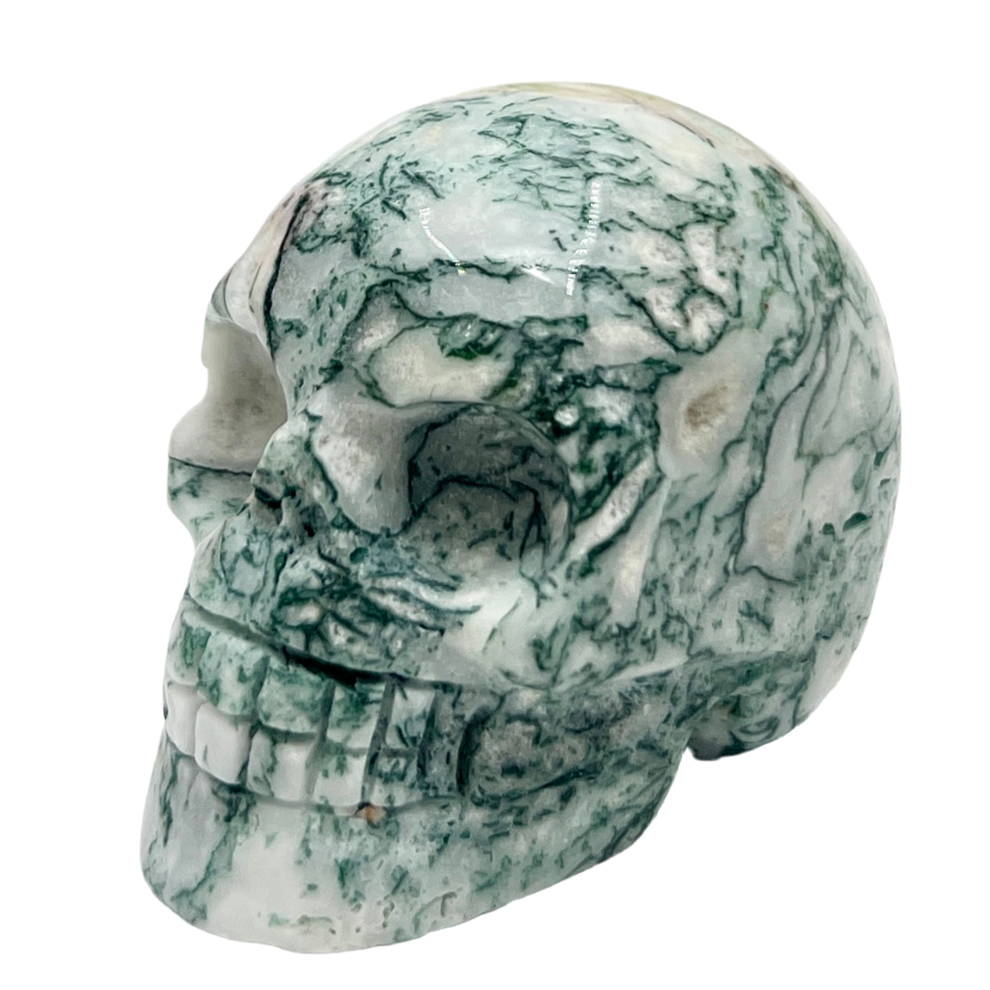 Tree Agate Skull 2 Inches Hand Carved Crystal Carving