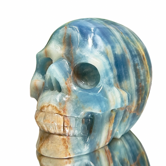 Blue Onyx Hollow Jaw Skull Healing Crystal Carving 1110g