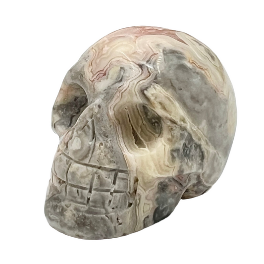 Crazy Lace Agate Skull 2 Inches Hand Carved Crystal Carving