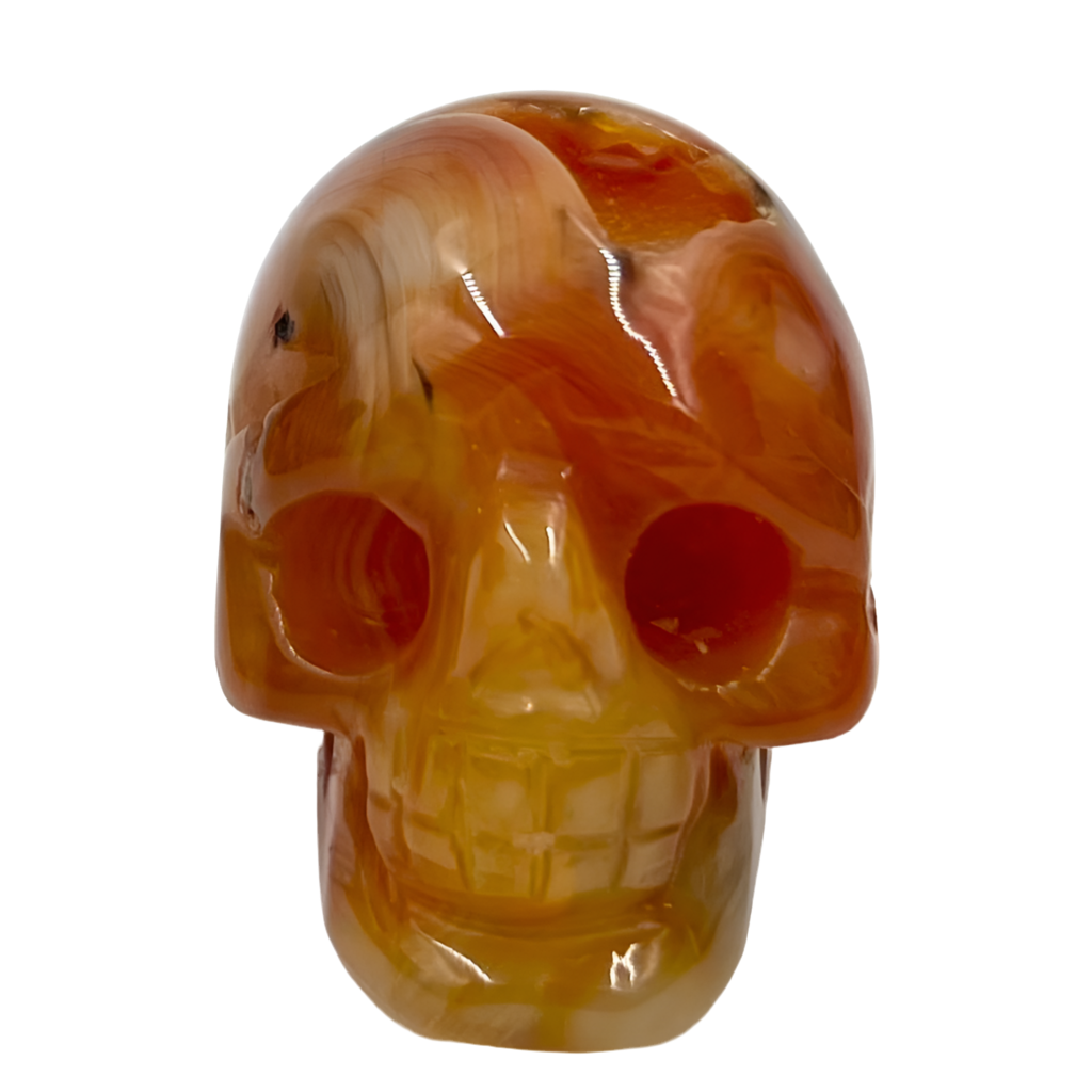 Carnelian Skull 2 With Druzy Inches Rare Hand Carved Crystal Carving