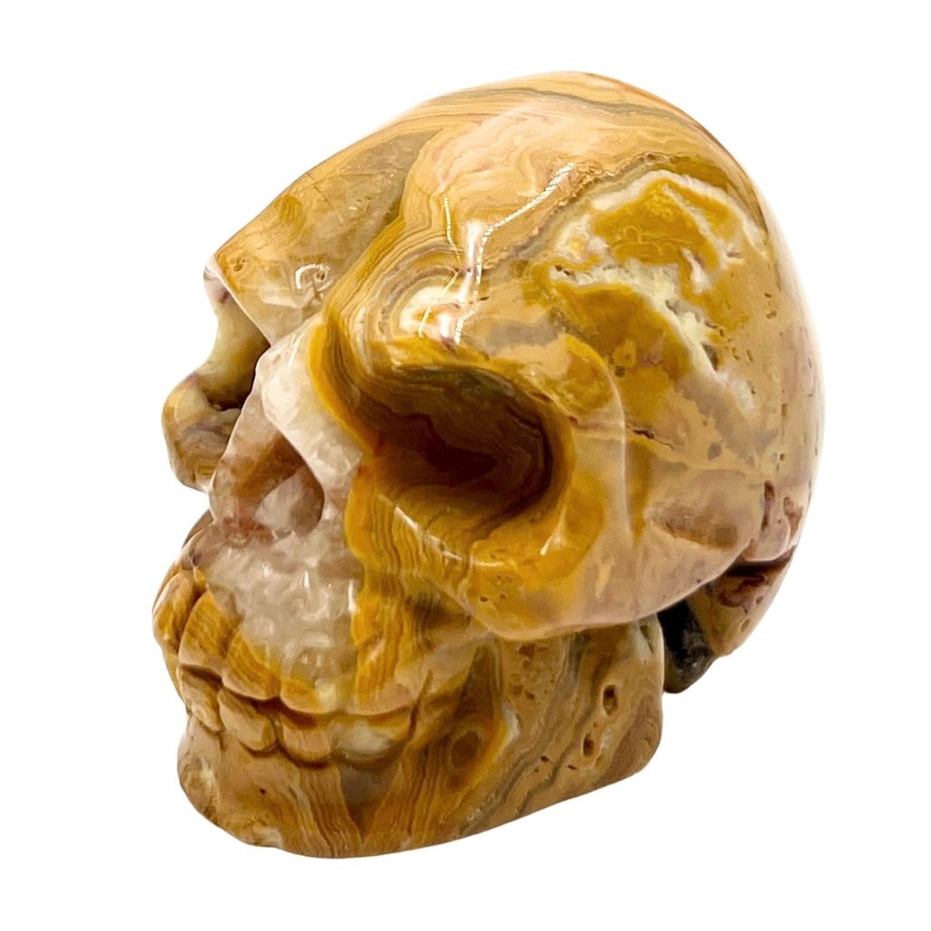 Crazy Lace Agate Skull 2 Inches Hand Carved Crystal Carving