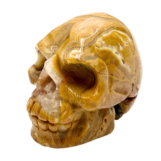 Crazy Lace Agate Skull 2 Inches Hand Carved Crystal Carving