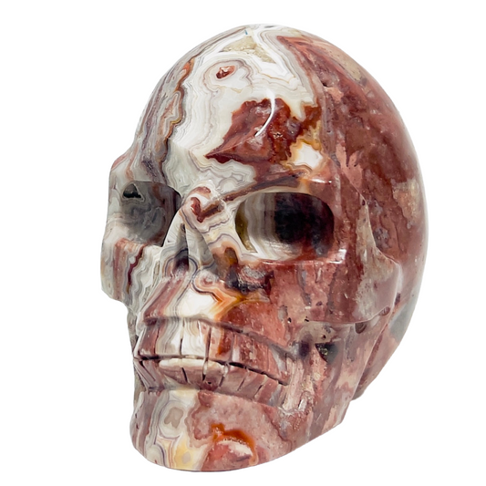 Mexican Crazy Lace Agate Skull Healing Crystal Carving 800g