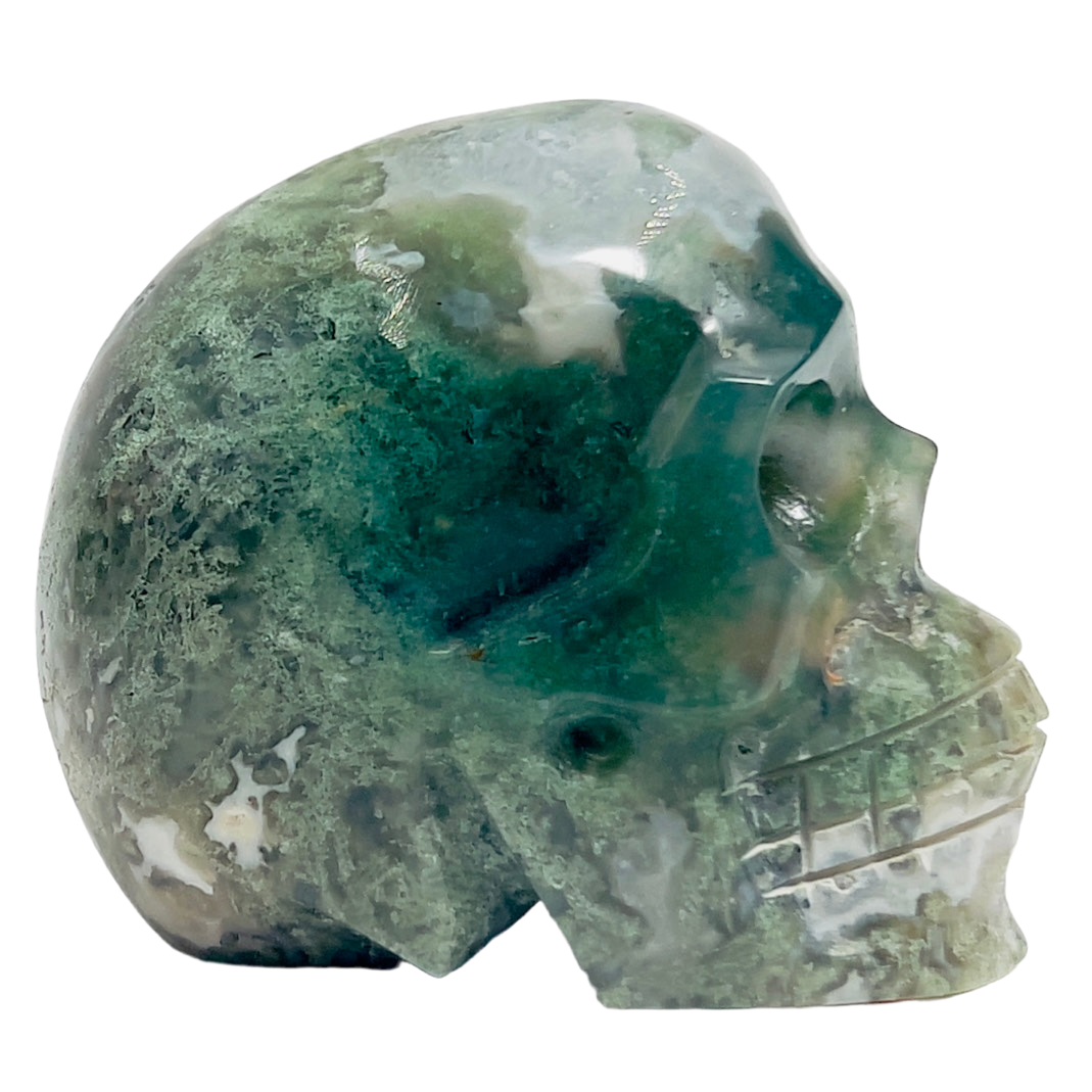 Moss Agate Skull Healing Crystal Carving 413g