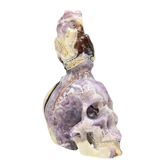 Chevron Dream Amethyst Owl on Skull Hollow Jaw  Crystal Carving 700g