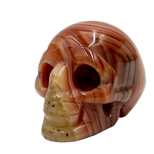 Carnelian Skull 2 Inches Rare Hand Carved Crystal Carving