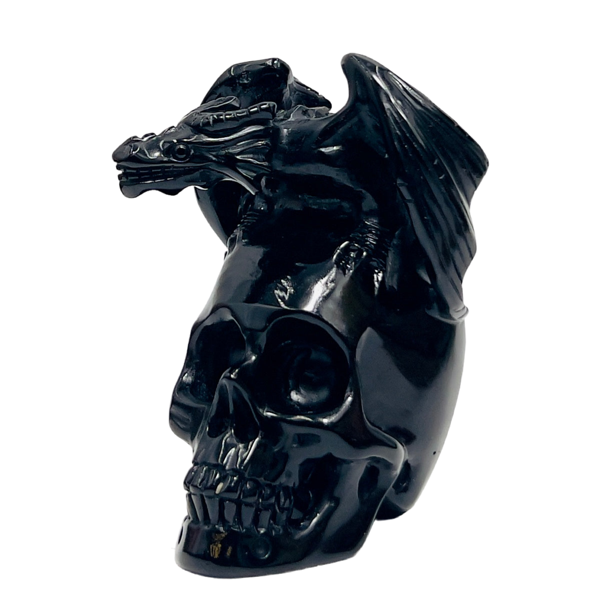 Black Obsidian Gargoyle Dragon on Skull Hollow Jaw Healing Crystal Carving 642g