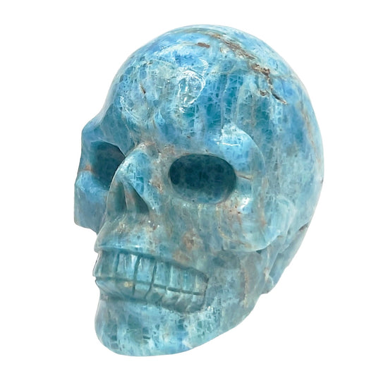 Blue Apatite Skull Healing Crystal Carving 550g