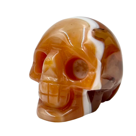 Carnelian Skull 2 Inches Rare Hand Carved Crystal Carving