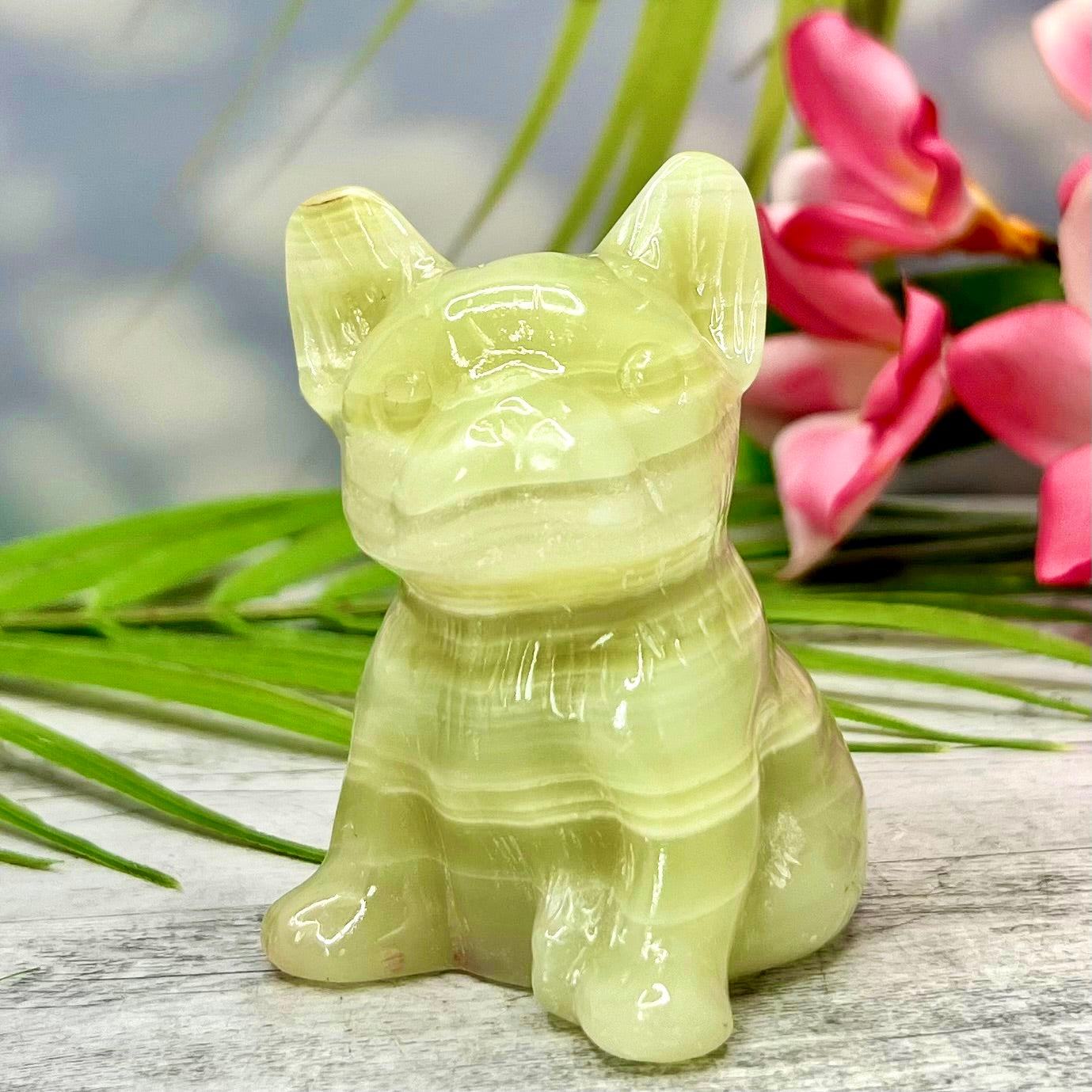 Pistachio Onyx French Bull Dog Crystal Puppy Carving Australian Seller