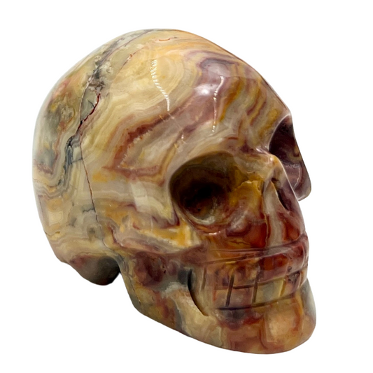 Crazy Lace Agate Skull 2 Inches Hand Carved Crystal Carving