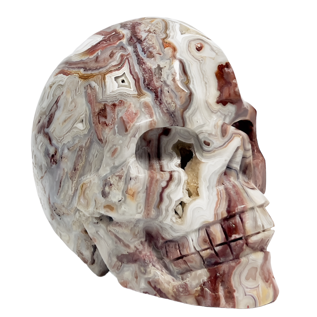 Mexican Crazy Lace Agate Skull Healing Crystal Carving 800g