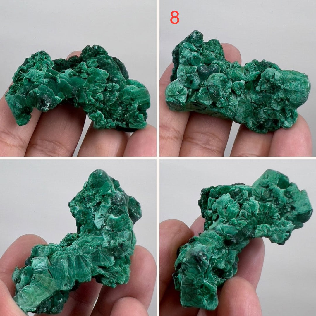 Malachite Specimen Raw Crystal Gemstone Various Sizes Australian Seller