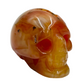 Carnelian Skull 2 With Druzy Inches Rare Hand Carved Crystal Carving