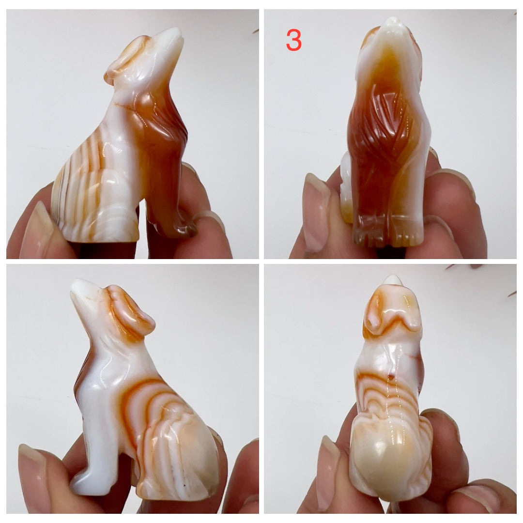 Small Carnelian Wolves Dogs Crystal Carvings Australian Seller