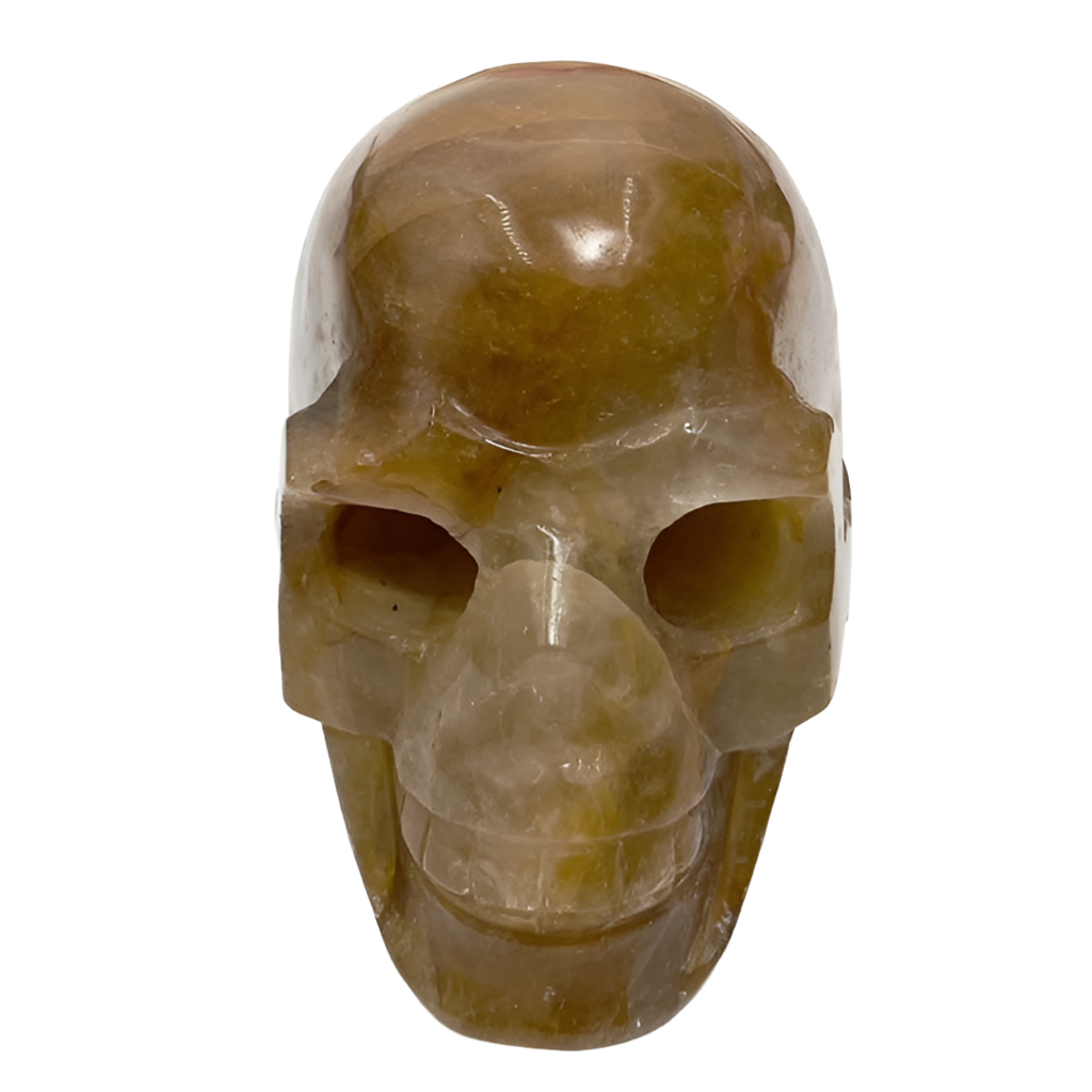 Golden Healer Quartz Skull Healing Crystal Carving 994g