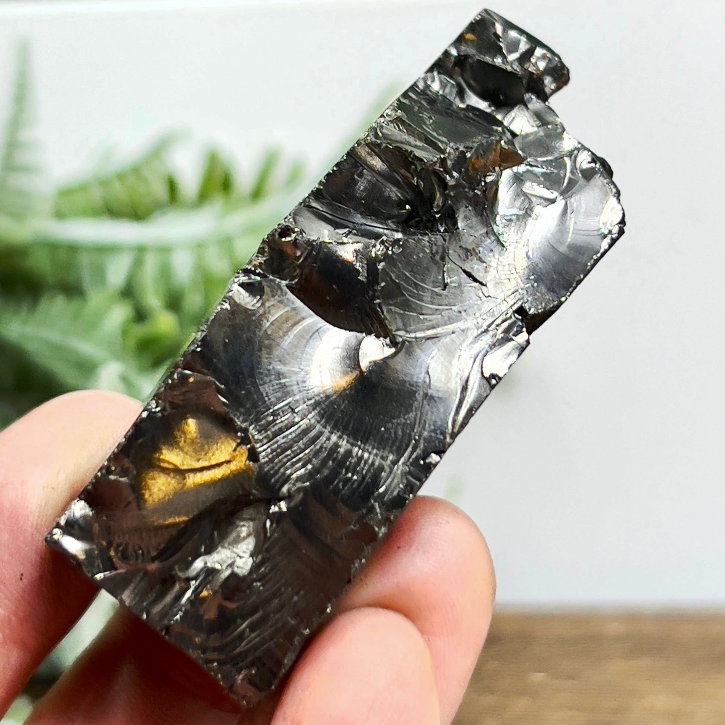 Elite Noble Shungite Raw Chunks Healing Crystal Specimen EMF Protection 
54g