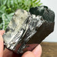 Elite Noble Shungite Raw Chunks Healing Crystal Specimen EMF Protection 
44g