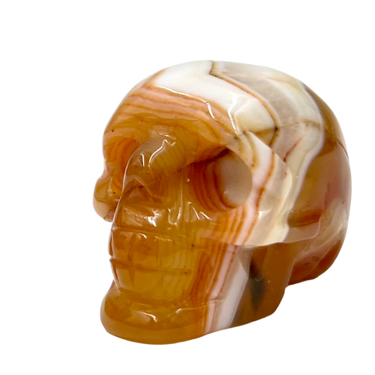 Carnelian Skull 2 Inches Rare Hand Carved Crystal Carving