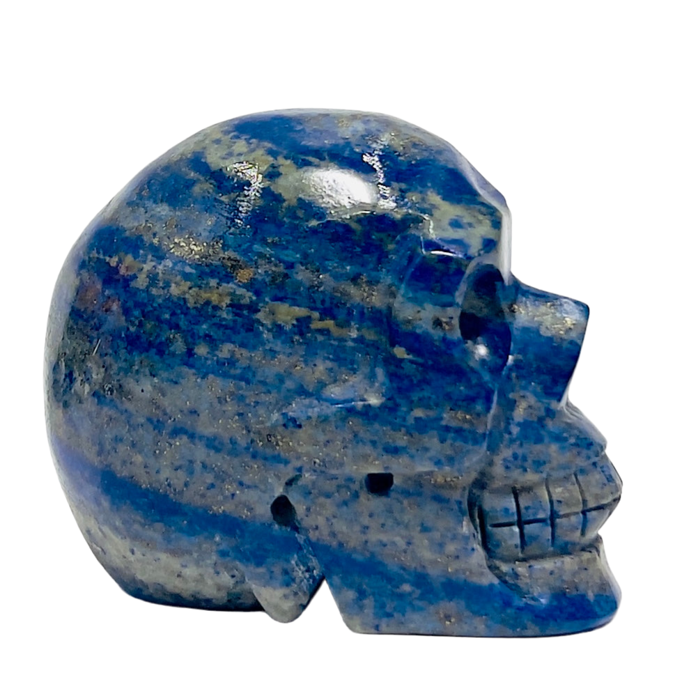 Lapis Lazuli with Pyrite Skull Healing Crystal Carving 609g