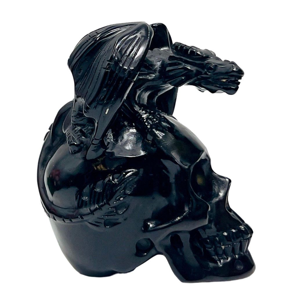 Black Obsidian Gargoyle Dragon on Skull Hollow Jaw Healing Crystal Carving 642g