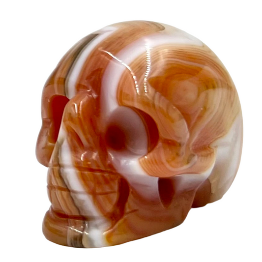 Carnelian Skull 2 Inches Rare Hand Carved Crystal Carving