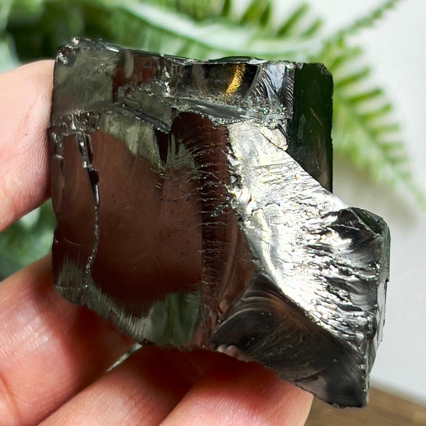 Elite Noble Shungite Raw Chunks Healing Crystal Specimen EMF Protection 
44g