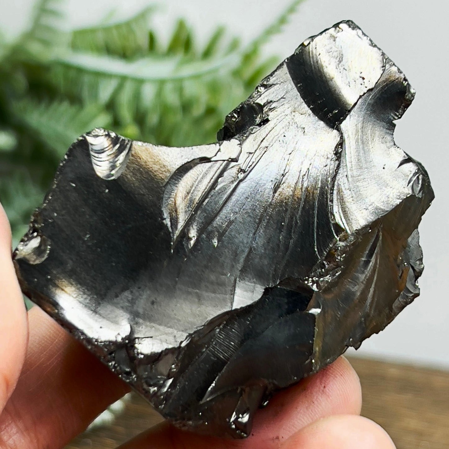 Elite Noble Shungite Raw Chunks Healing Crystal Specimen EMF Protection 
48g