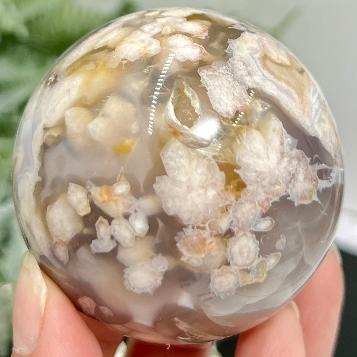 Black Flower Agate Sphere Healing Crystal Ball 304g 61mm