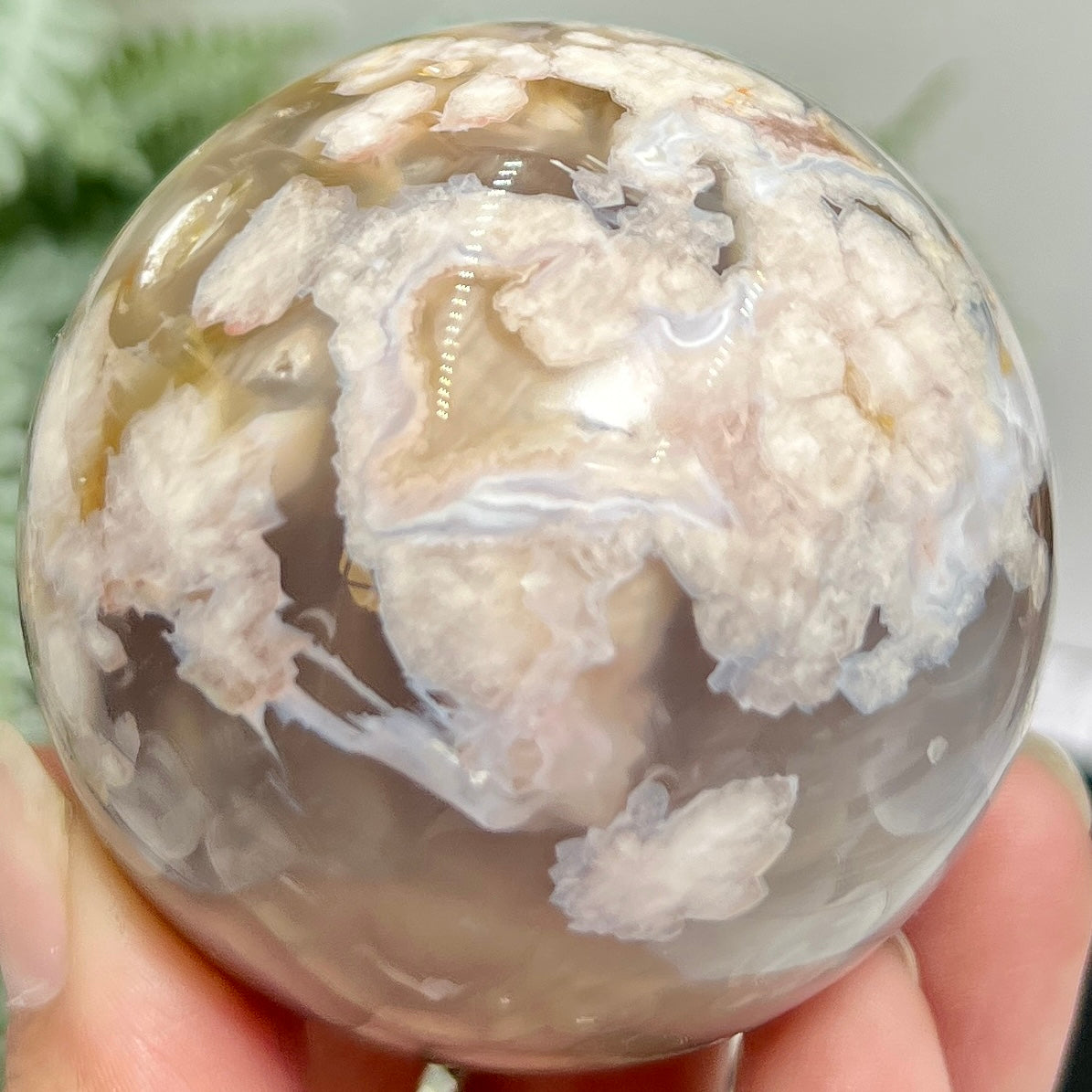 Black Flower Agate Sphere Healing Crystal Ball 304g 61mm