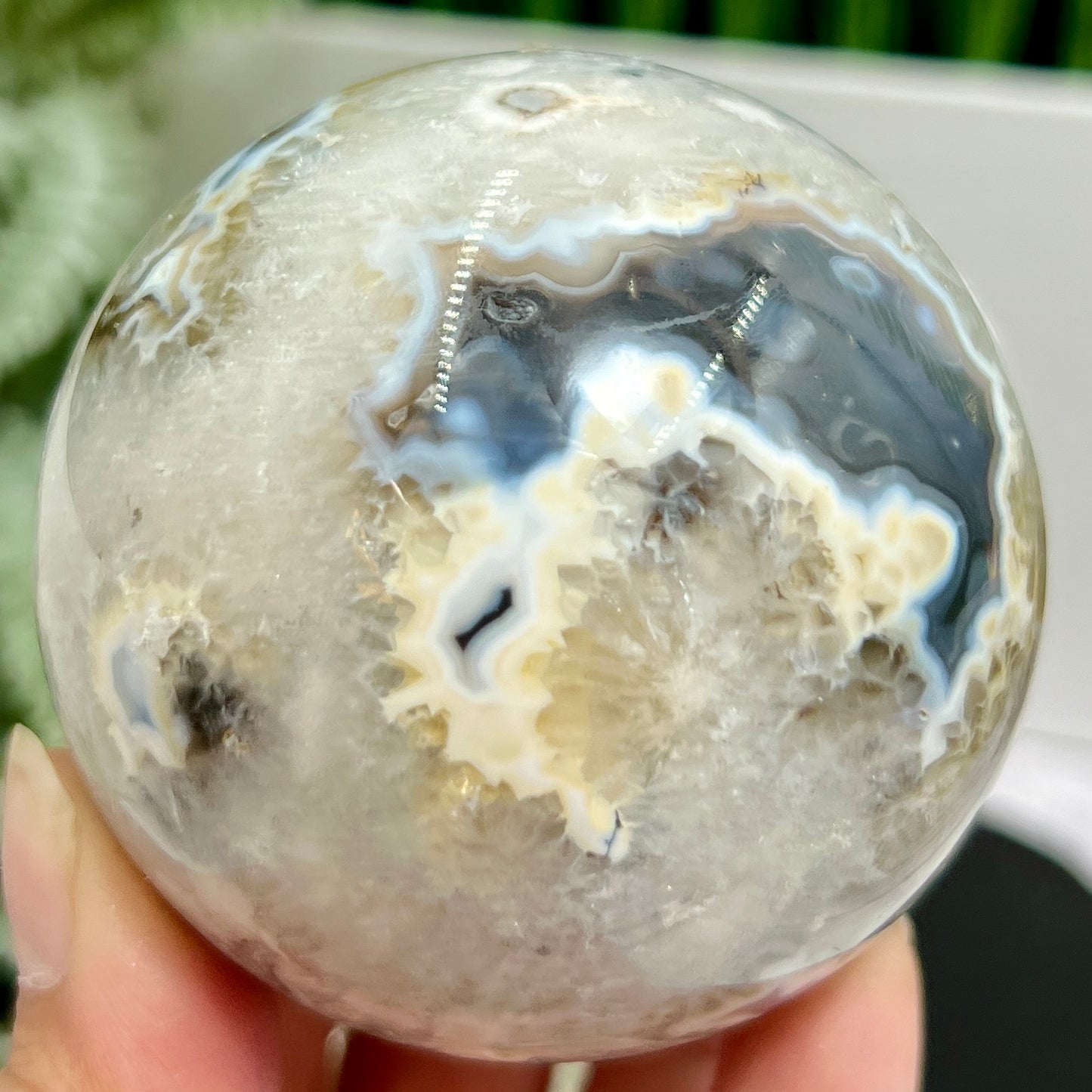 Argentina Black Flower Agate Quartz Sphere Healing Crystal Ball 410g 67mm