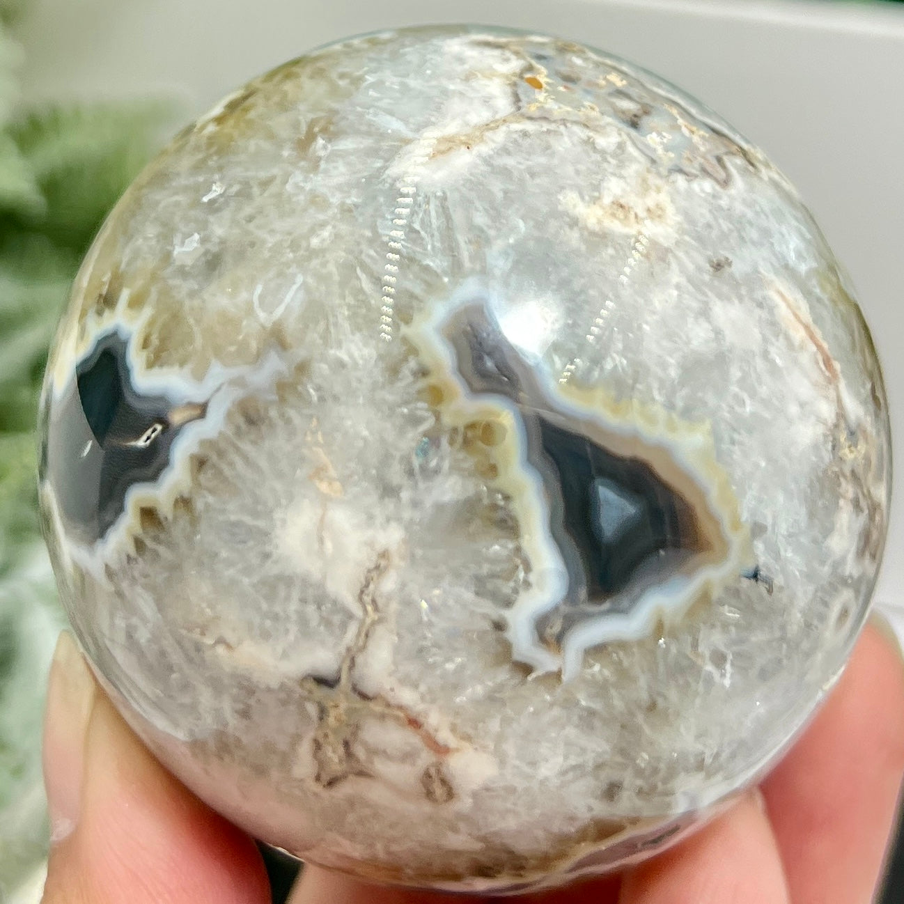 Argentina Black Flower Agate Quartz Sphere Healing Crystal Ball 410g 67mm