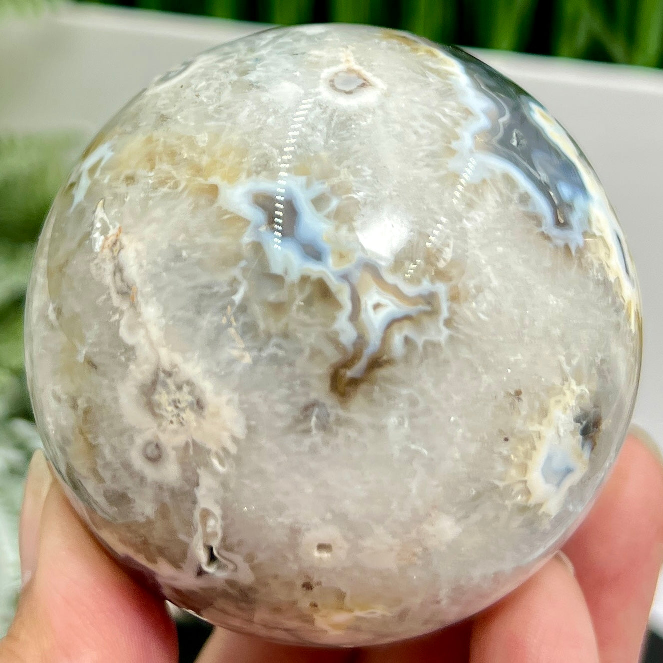 Argentina Black Flower Agate Quartz Sphere Healing Crystal Ball 410g 67mm