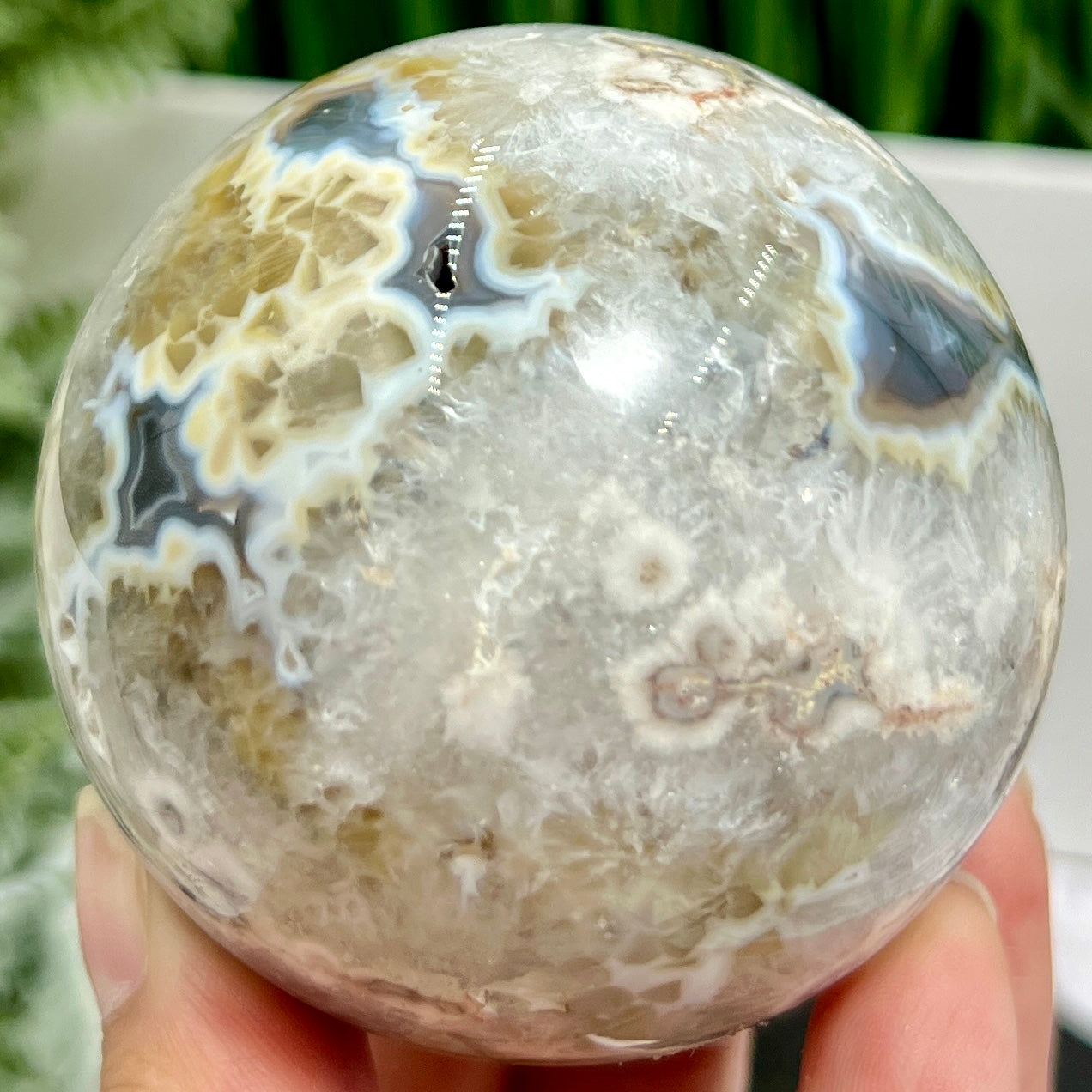 Argentina Black Flower Agate Quartz Sphere Healing Crystal Ball 410g 67mm