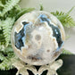 Argentina Black Flower Agate Quartz Sphere Healing Crystal Ball 597g 76mm