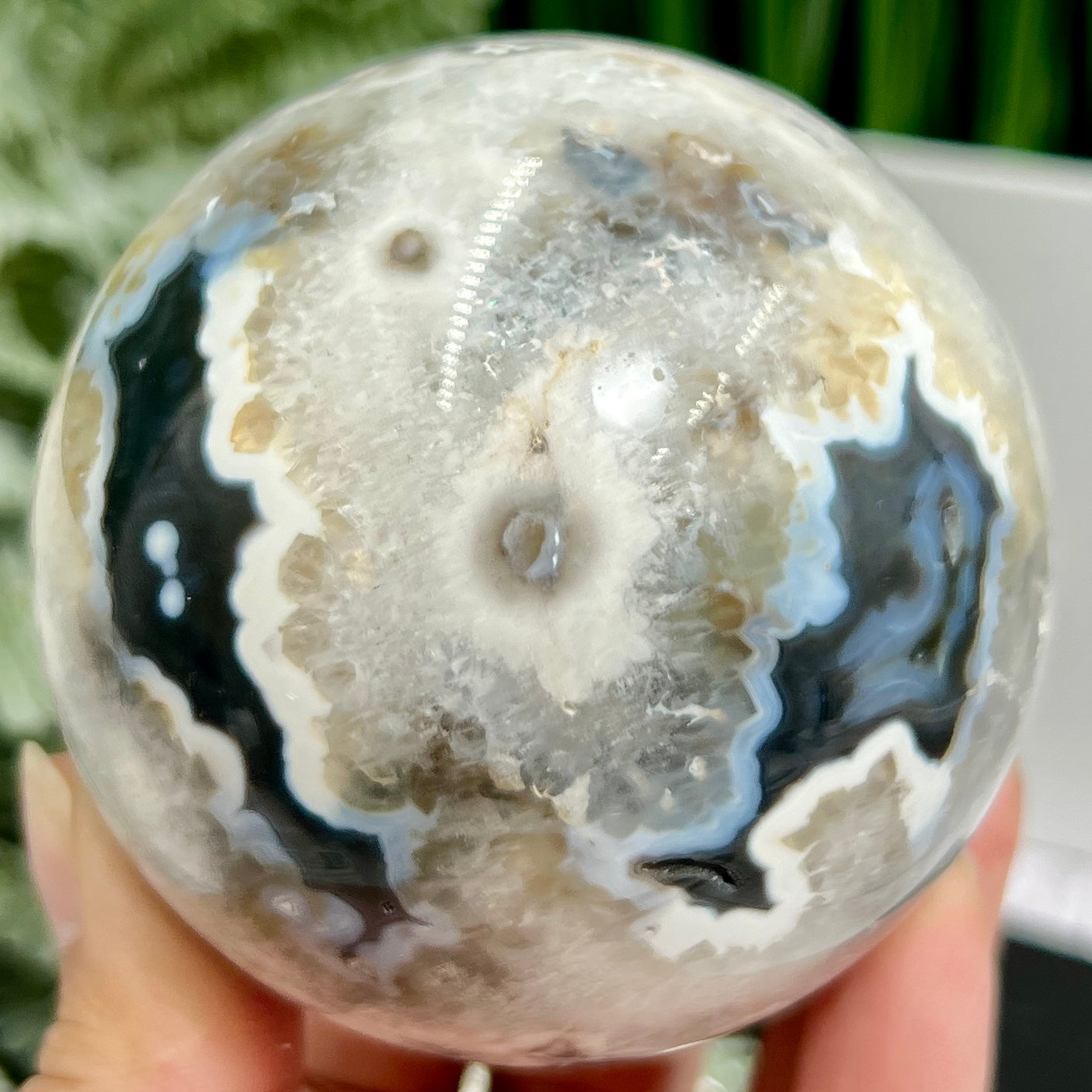 Argentina Black Flower Agate Quartz Sphere Healing Crystal Ball 597g 76mm