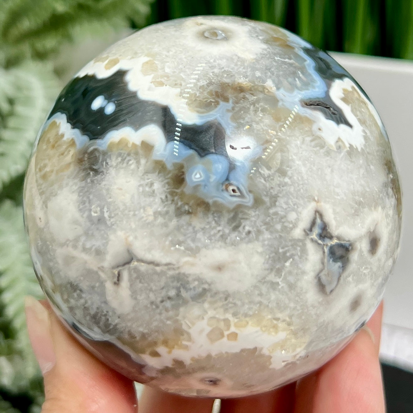 Argentina Black Flower Agate Quartz Sphere Healing Crystal Ball 597g 76mm