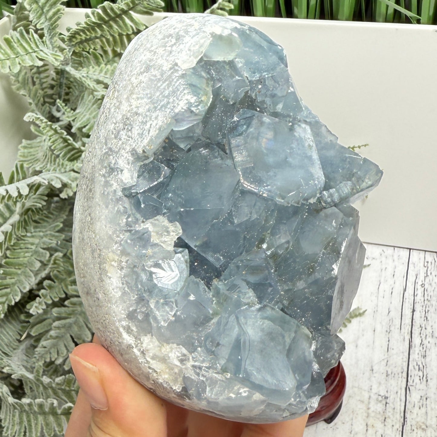 Celestite Celestine Large Egg with Stand Large Geode Cluster Crystal 1075g