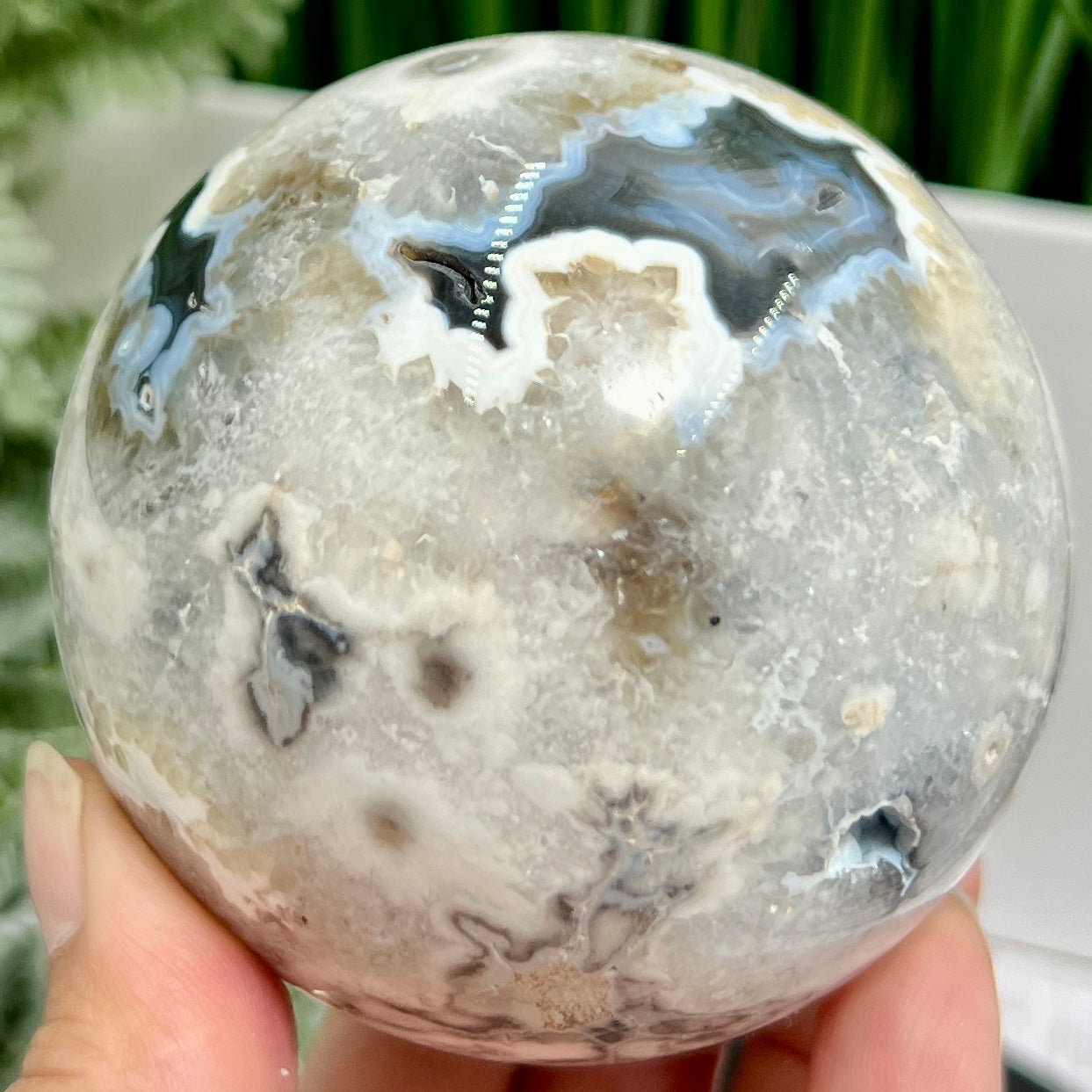 Argentina Black Flower Agate Quartz Sphere Healing Crystal Ball 597g 76mm