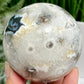 Argentina Black Flower Agate Quartz Sphere Healing Crystal Ball 597g 76mm