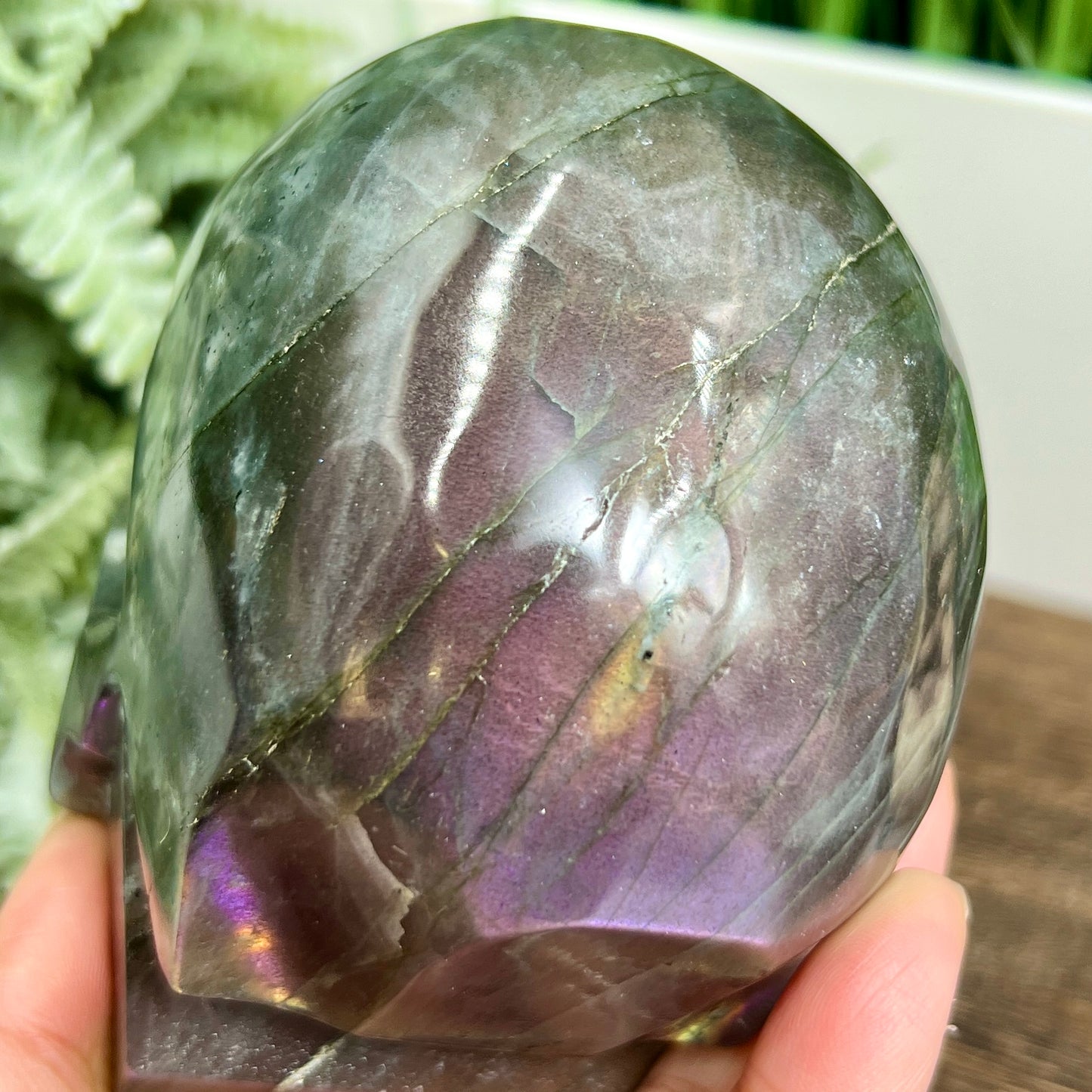 Labradorite Skull Healing Crystal Carving 1167g