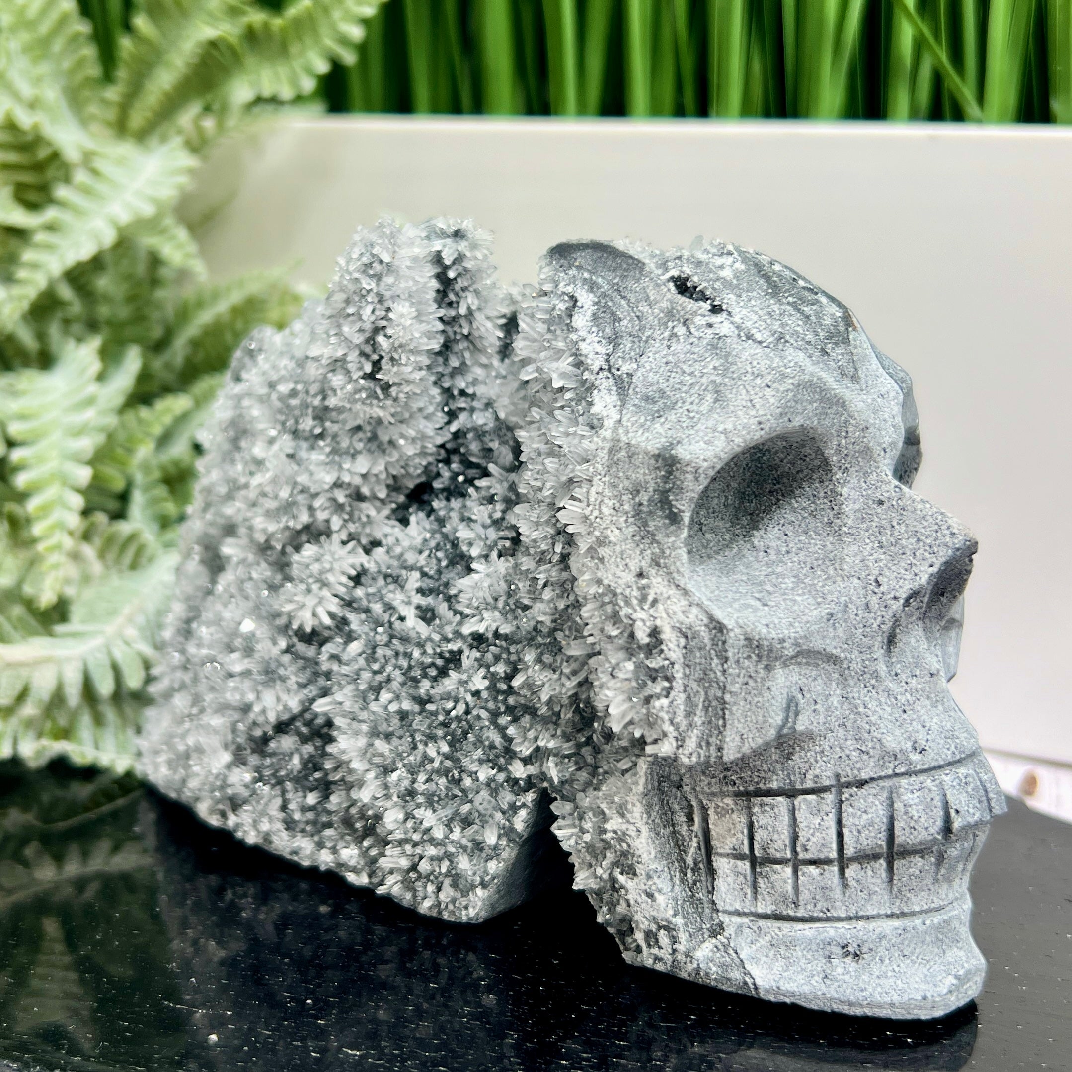 Large offers druzy skull