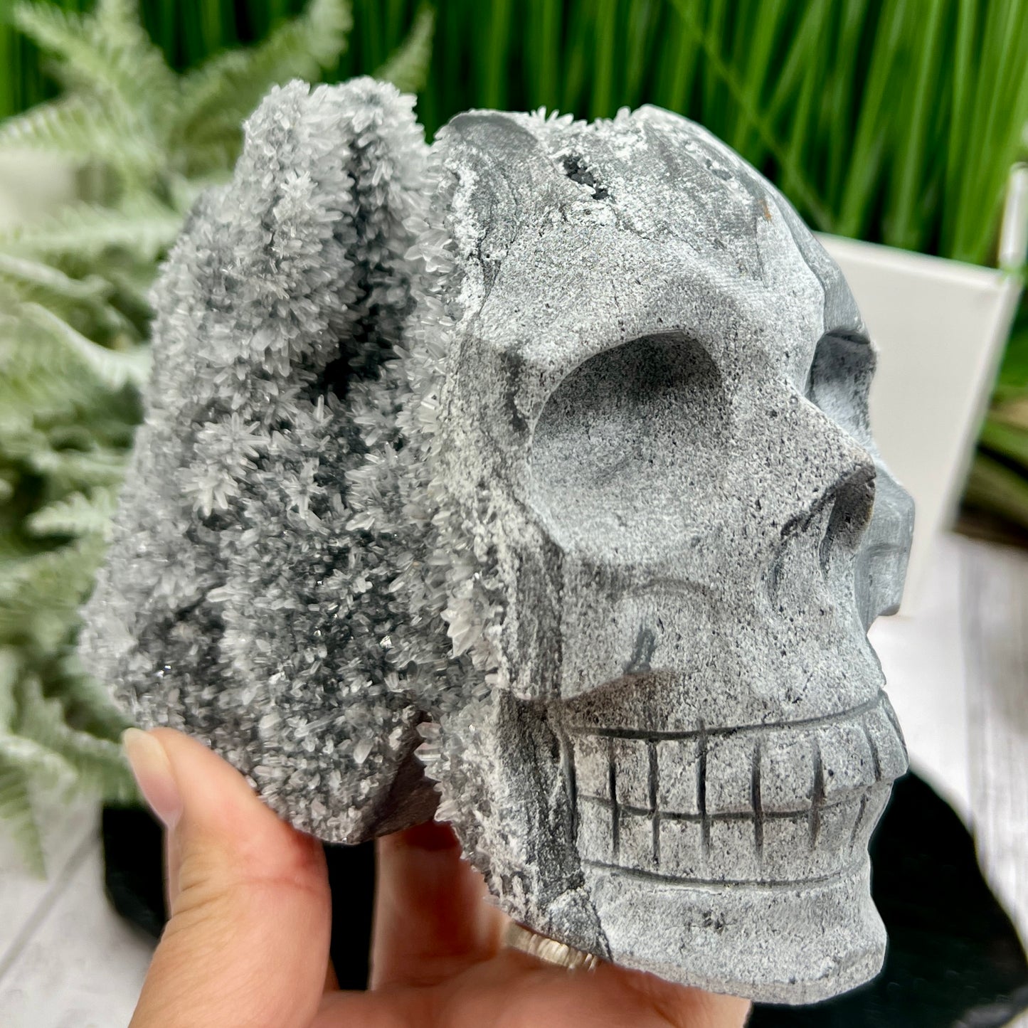 Black Quartz Skull Large Druzy Crystal 1158g