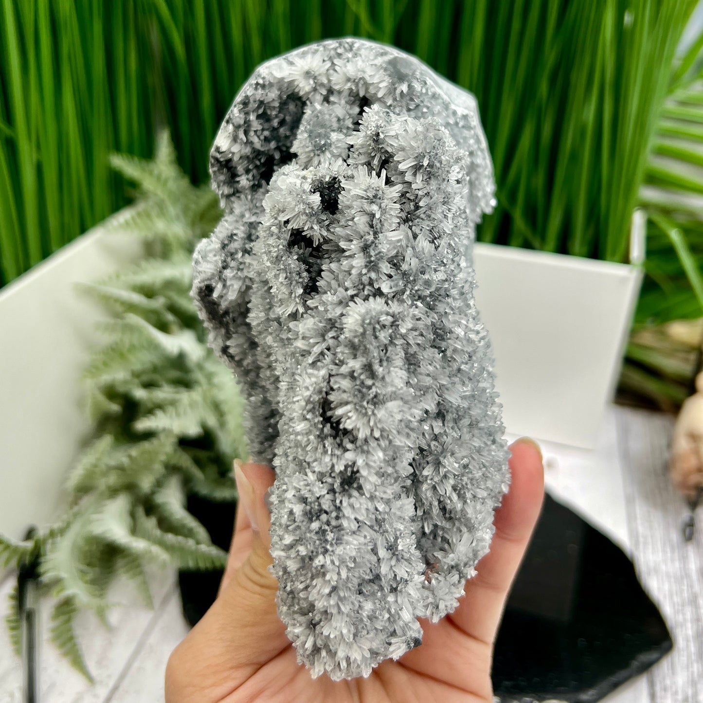 Black Quartz Skull Large Druzy Crystal 1158g